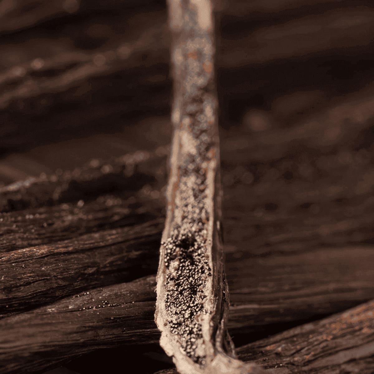 10 gousses de vanille Bourbon de Madagascar – 10 à 12 cm