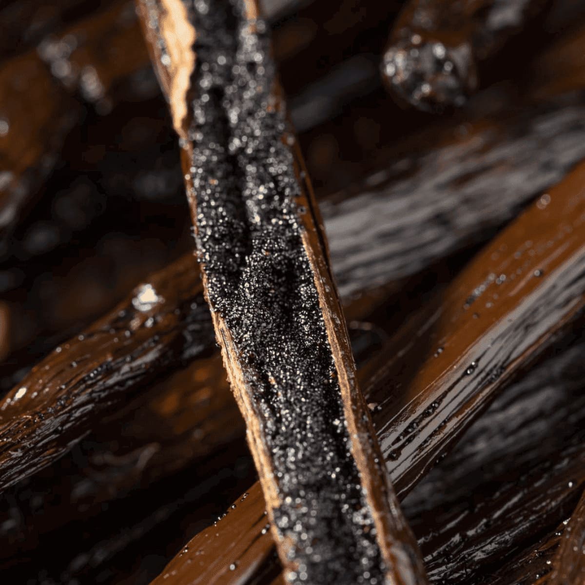 1 kilogramme de caviar de vanille Bourbon de Madagascar