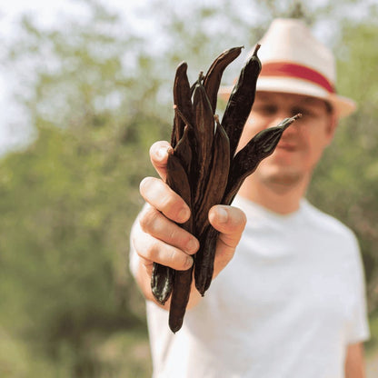 10 gousses de vanille Bourbon de Madagascar – 16 à 18 cm