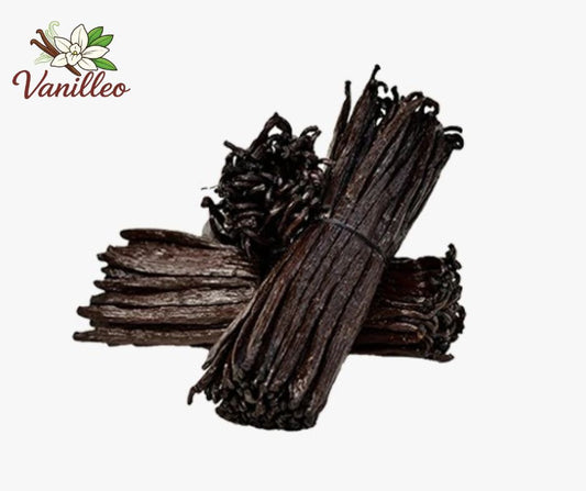 1 kilogramme de gousses de vanille Bourbon de Madagascar – 16 à 18 cm