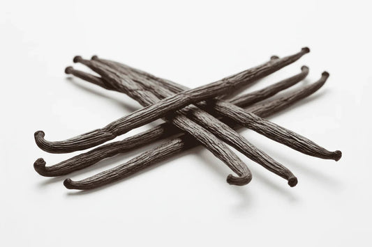 Gousses de vanille naturelles Vanille 77 sur fond blanc, épices de qualité premium.