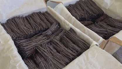 1 kilogramme de gousses de vanille Bourbon de Madagascar – 13 à 15 cm