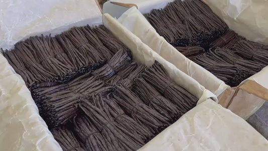 1 kilogramme de gousses de vanille Bourbon de Madagascar (13 à 15 cm)