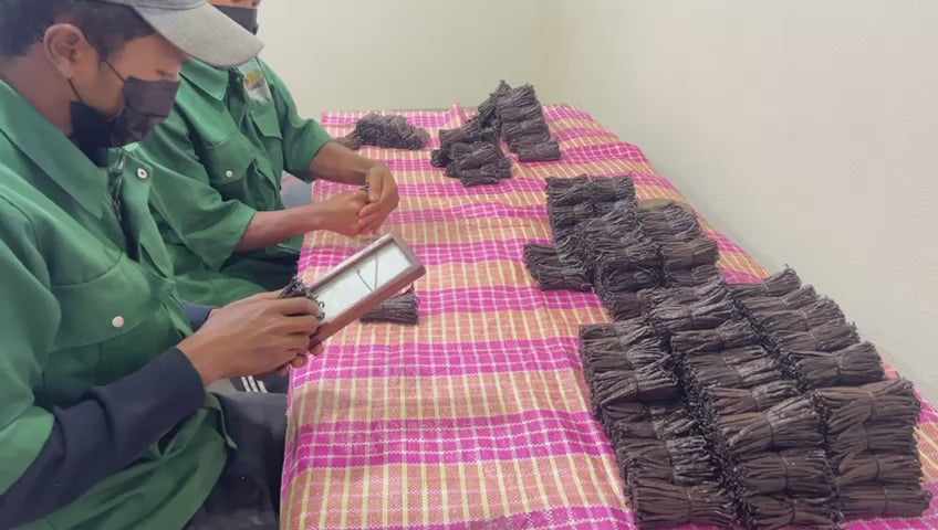 Préparation de gousses de vanille